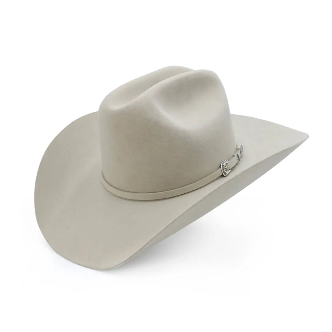 Texana Skyline 6X Stetson IM118 8476.00