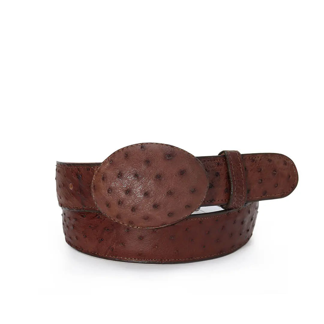 Cinto Vaquero Exótico IM103