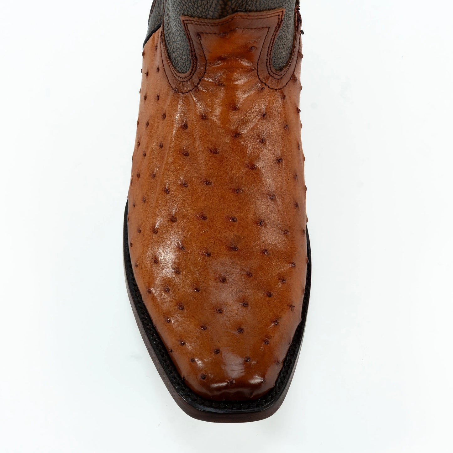 Botín Dubai Dylan de Avestruz IM415