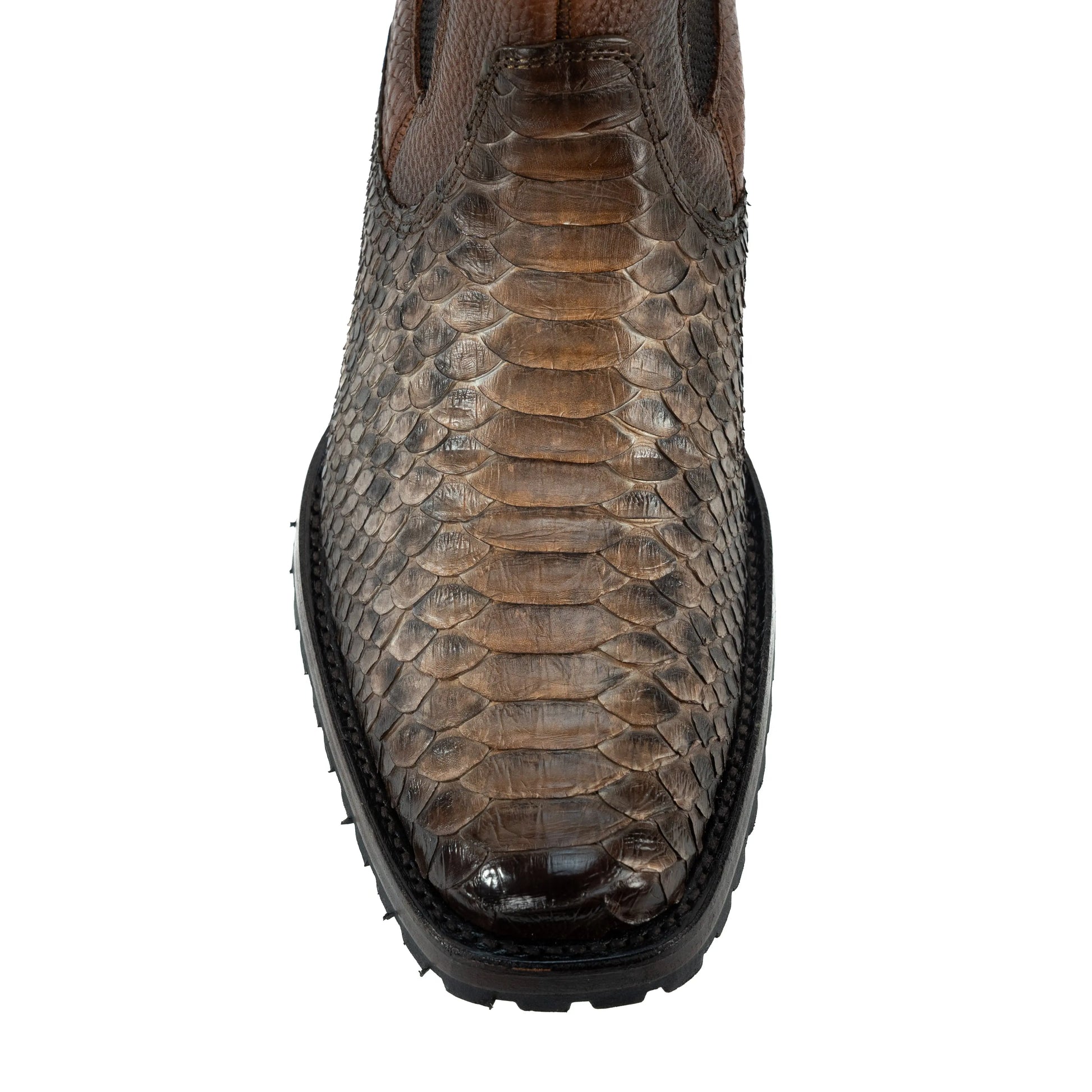 Botín Dubai King de Pitón IM429