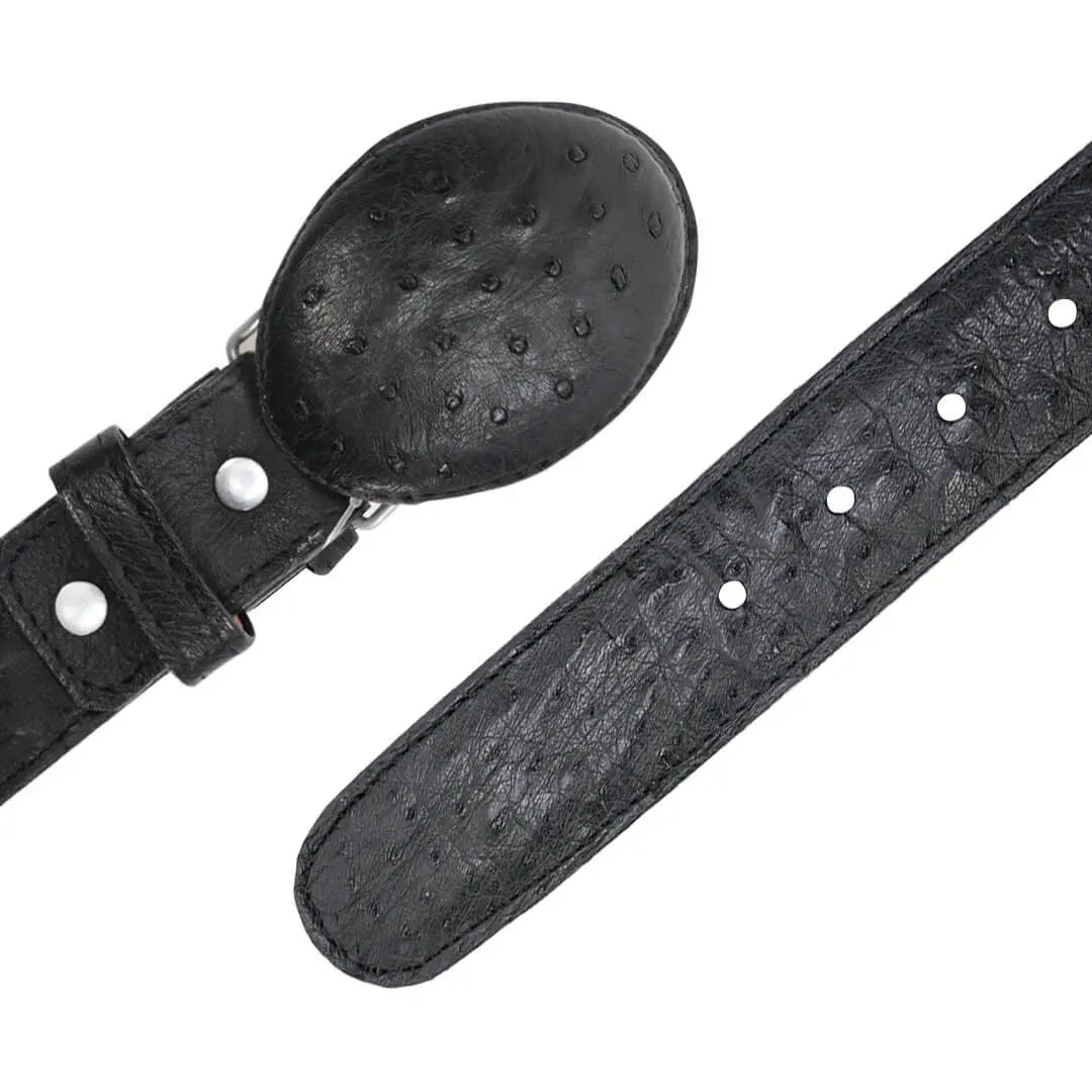 Cinto Vaquero Exótico IM104 850.00