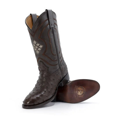 Bota Oval de Avestruz Café IM310 