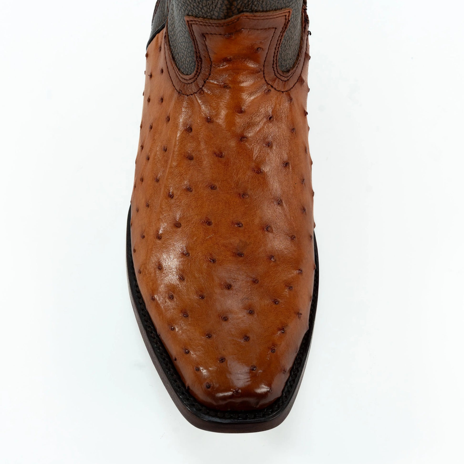 Botín Dubai Dylan de Avestruz IM415 